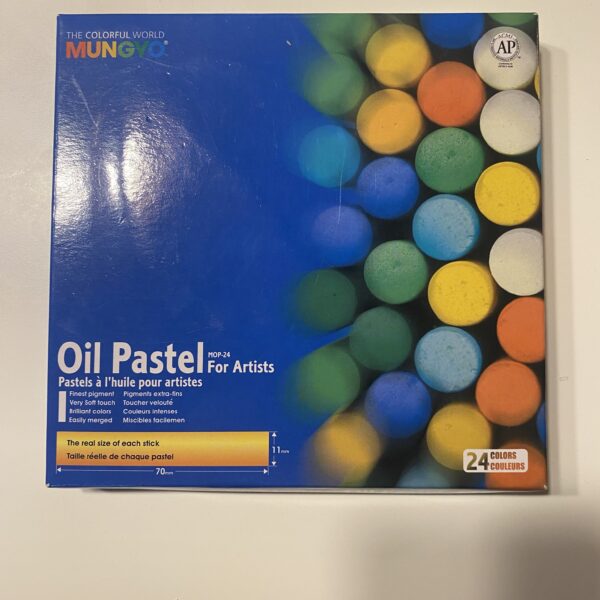 Oil Pastel For Artists - 24 Colors